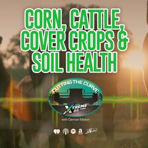 Corn, Cattle & Cover Crops — An Evolution in Soil Health