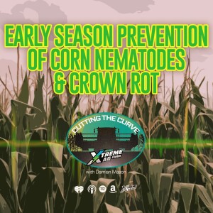 Early Season Prevention of Corn Nematodes & Crown Rot