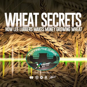 Wheat Secrets: How Lee Lubbers Makes Money Growing Wheat