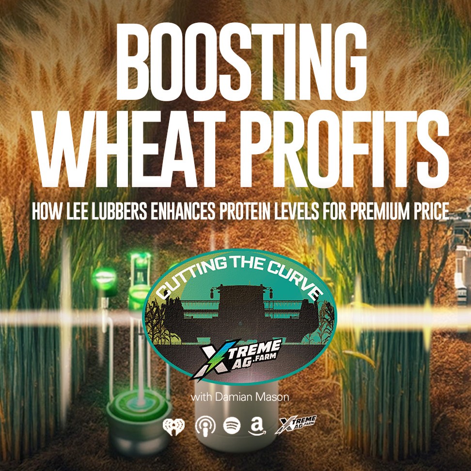 Boosting Wheat Profits: How Lee Lubbers Enhances Protein Levels for Premium Price