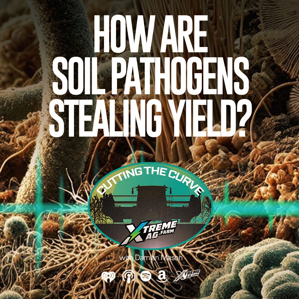 How Soil Pathogens Steal Your Yield: Expert Insights to Boost Crop Health