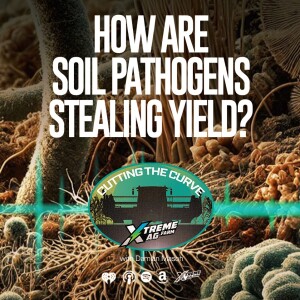 How Soil Pathogens Steal Your Yield: Expert Insights to Boost Crop Health