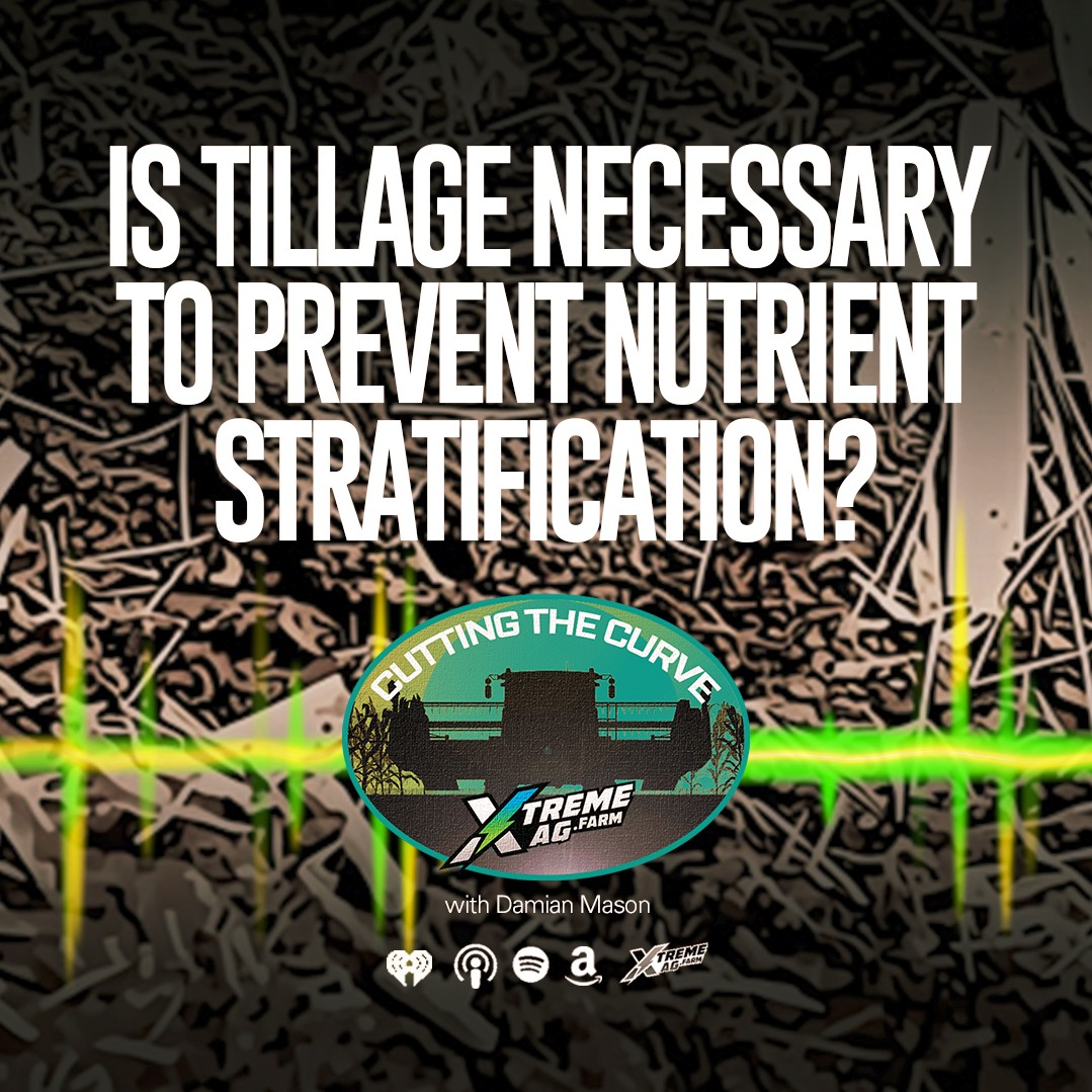 Is Tillage Necessary to Prevent Nutrient Stratification?