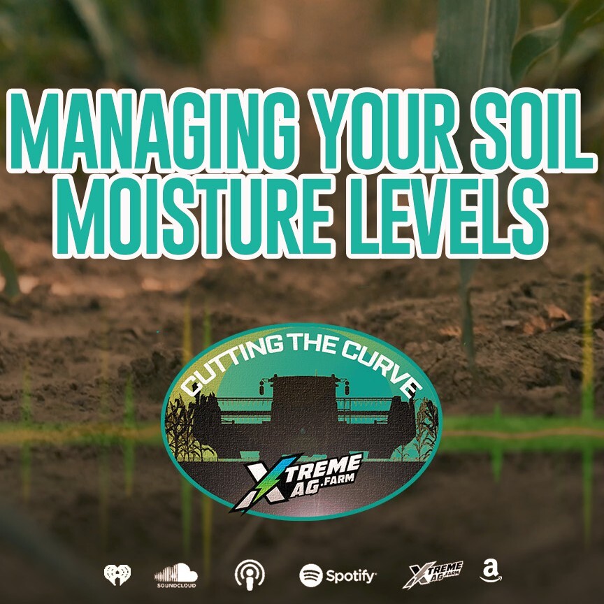 Do You Know Your Soil’s Moisture Level?