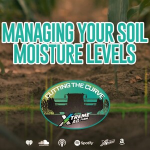 Do You Know Your Soil’s Moisture Level?
