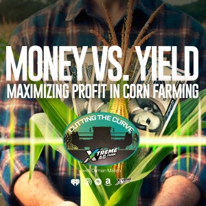 Money Versus Yield: Maximizing Profit in Corn Farming