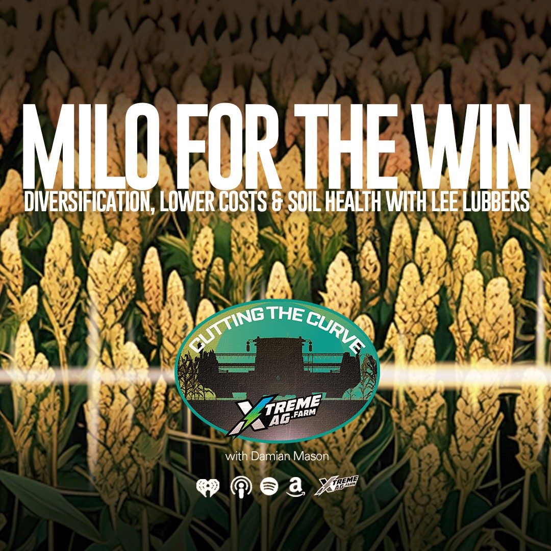 Milo for the Win: Diversification, Lower Costs & Soil Health with Lee Lubbers