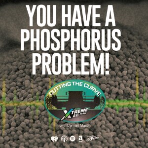 You Have a Phosphorous Availability Problem - Here is What To Do About it