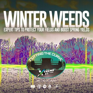 Winter Weed Control: Expert Tips to Protect Your Fields and Boost Spring Yields