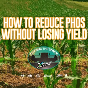 Why You Should Reduce Phosphorous Application Rates & How To Do It Without Sacrificing Yield