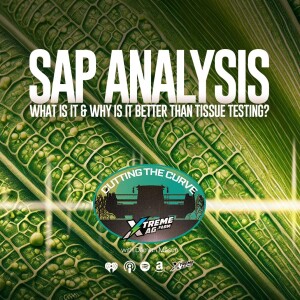 What is Sap Analysis and How Can It Help You Grow A Better Crop?