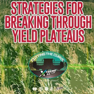Maximizing Farm Yields: Essential Strategies to Boost Crop Yields and Overcome Plateaus