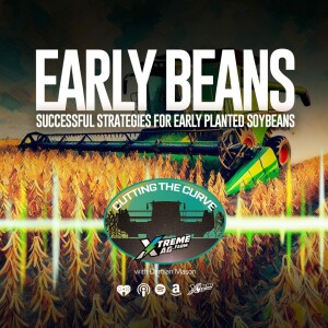 Successful Strategies For Early Planted Soybeans