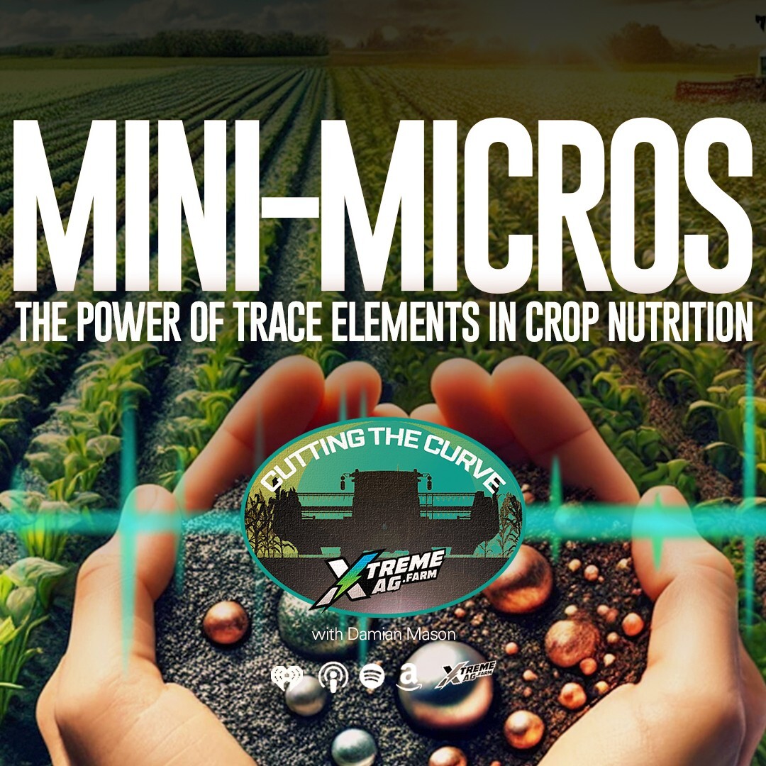 Unlocking Yield Potential: The Power of "Mini-Micros" in Crop Nutrition