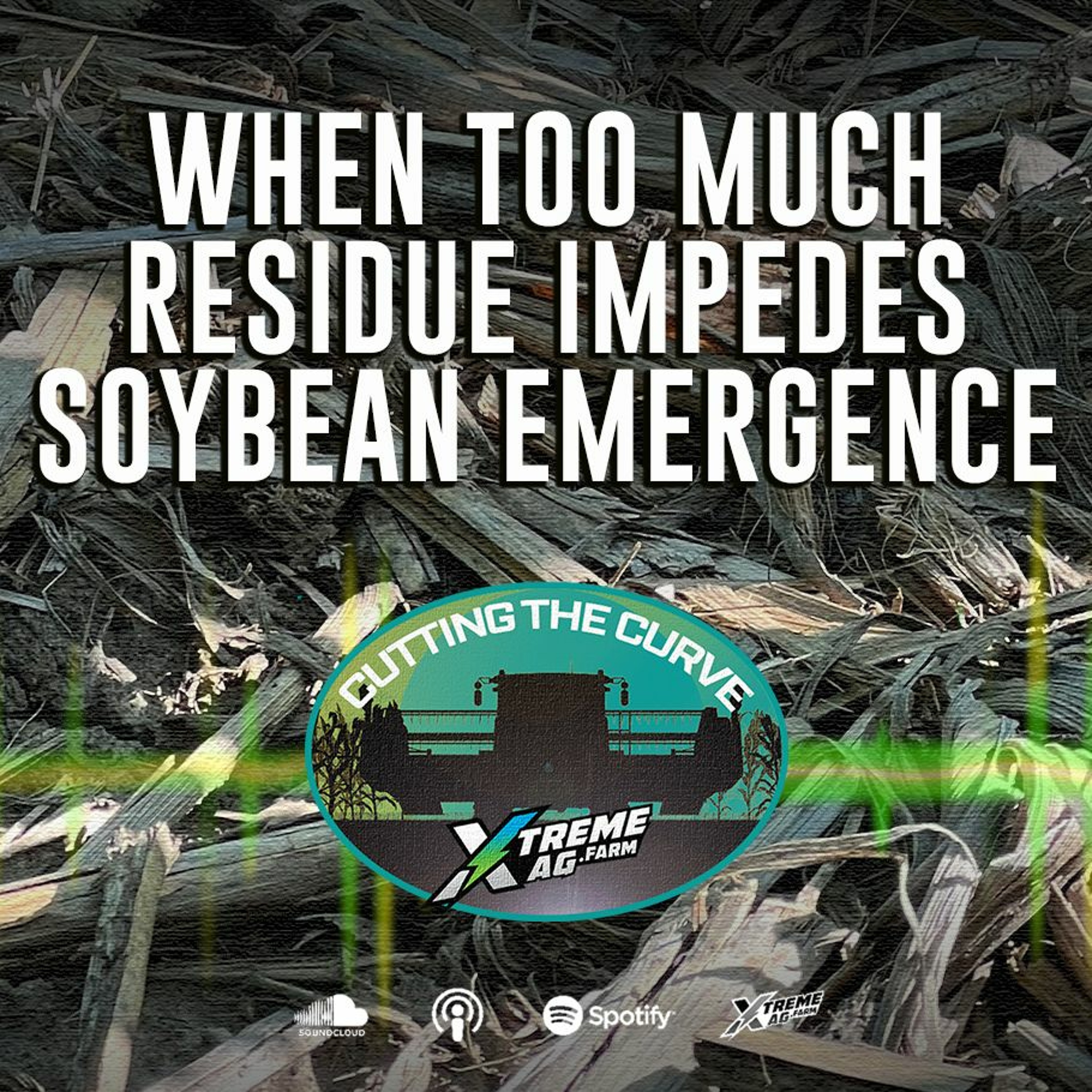 When Too Much Residue Impedes Soybean Emergence