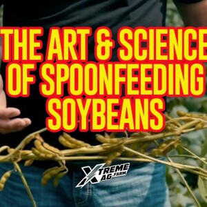 The Art and Science of Spoonfeeding Soybeans