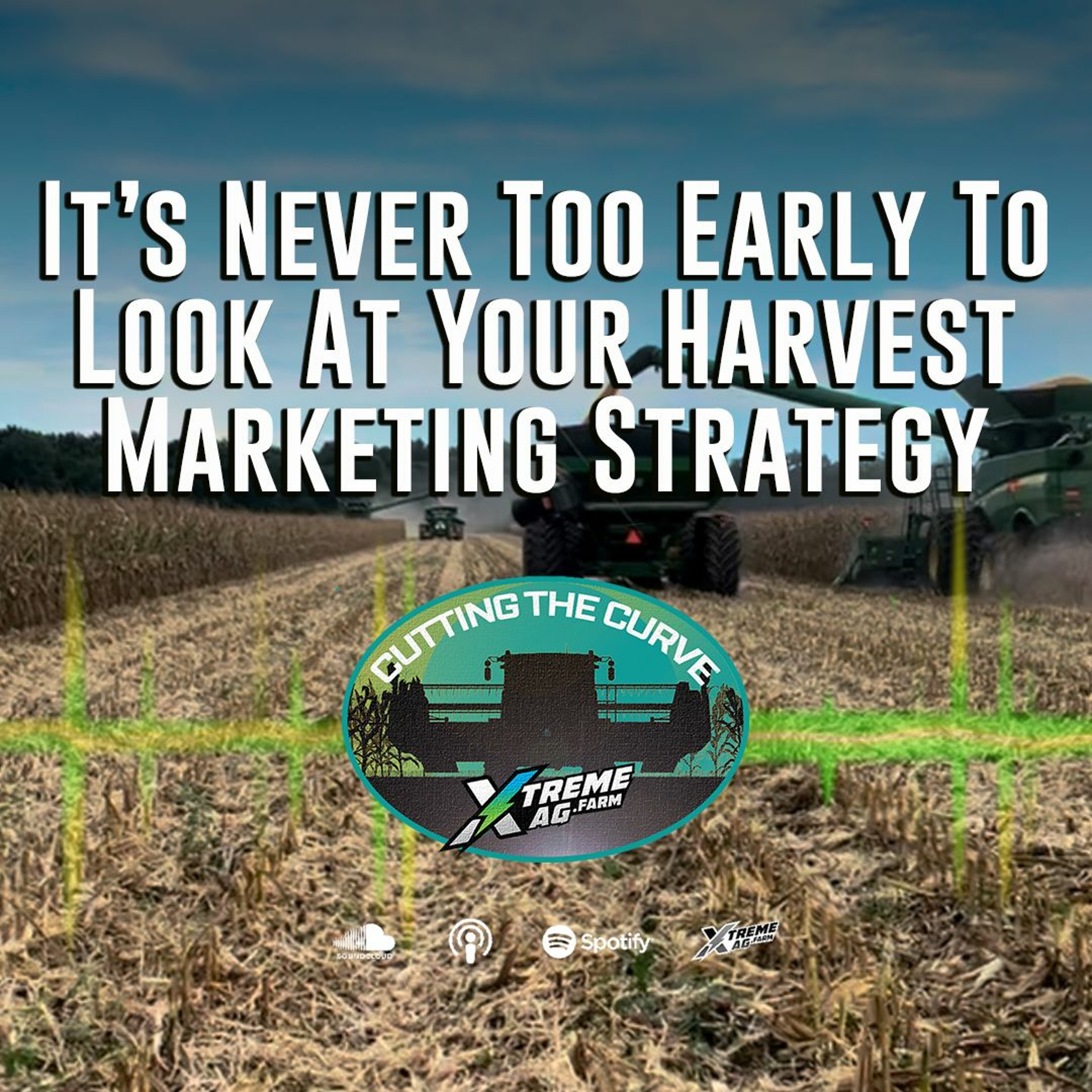 It’s Never Too Early To Look At Your Harvest Marketing Strategy