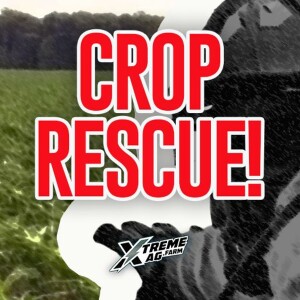 Rescuing A Crop