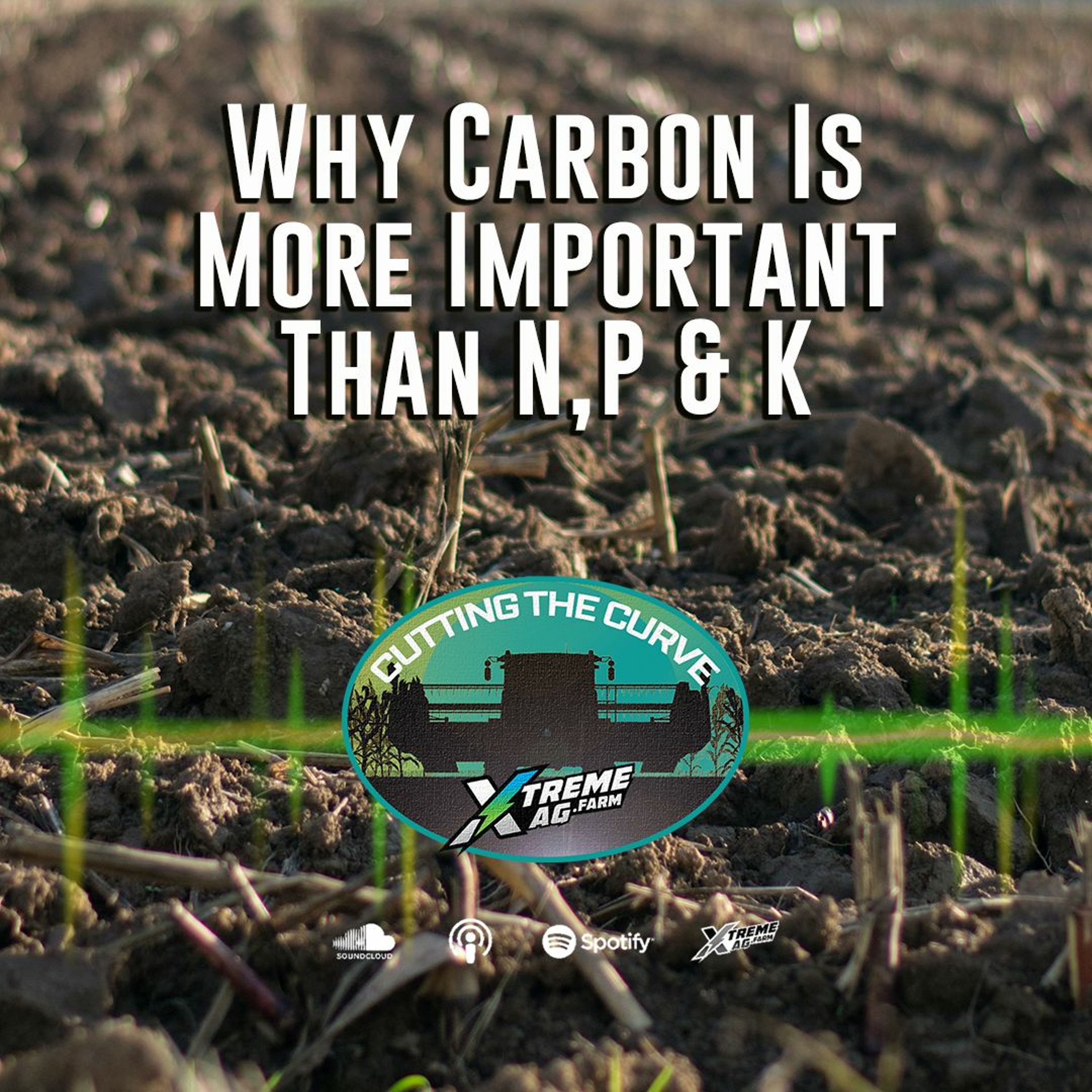 Why Is Carbon More Important Than N, P and K