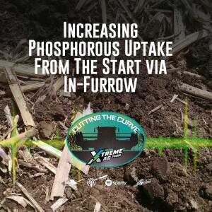 Increasing Phosphorous Uptake From The Start via In-Furrow