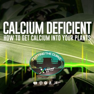Farming Podcast | Calcium Deficiency in Crops | XtremeAg