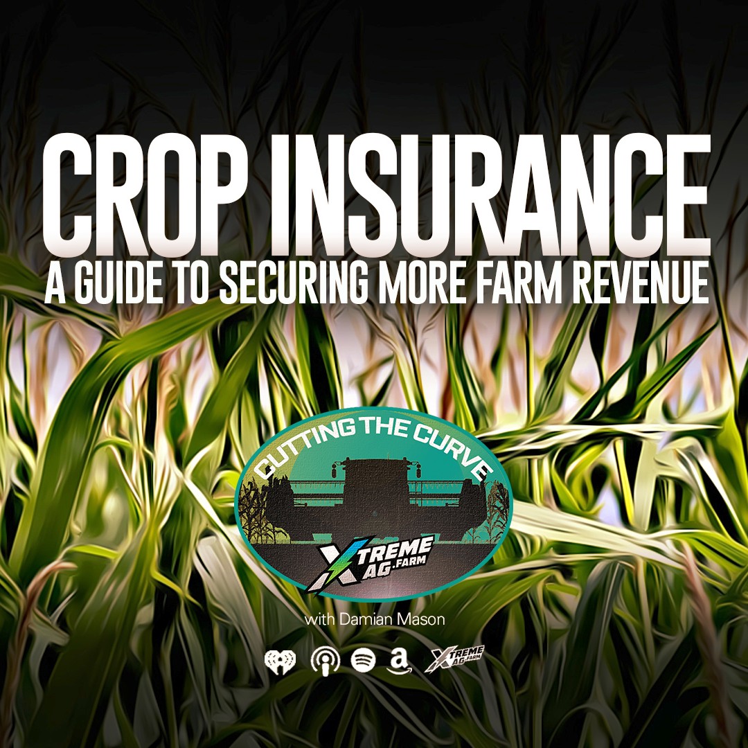 Securing Farm Revenue with Crop Insurance: A No-Nonsense Guide