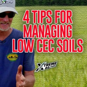 4 Tips For Managing Low CEC Soils