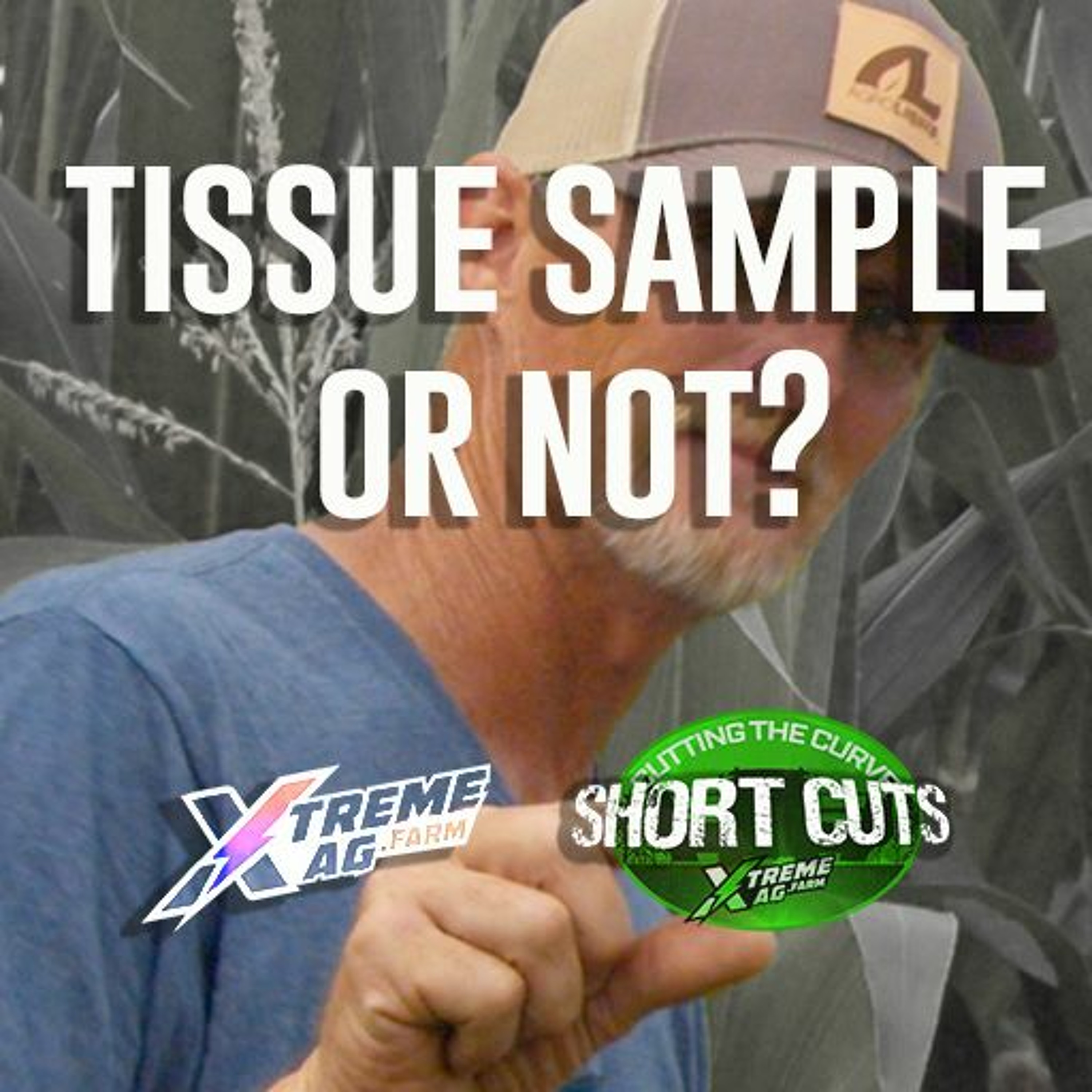 Short Cuts - To Tissue Sample Or Not?