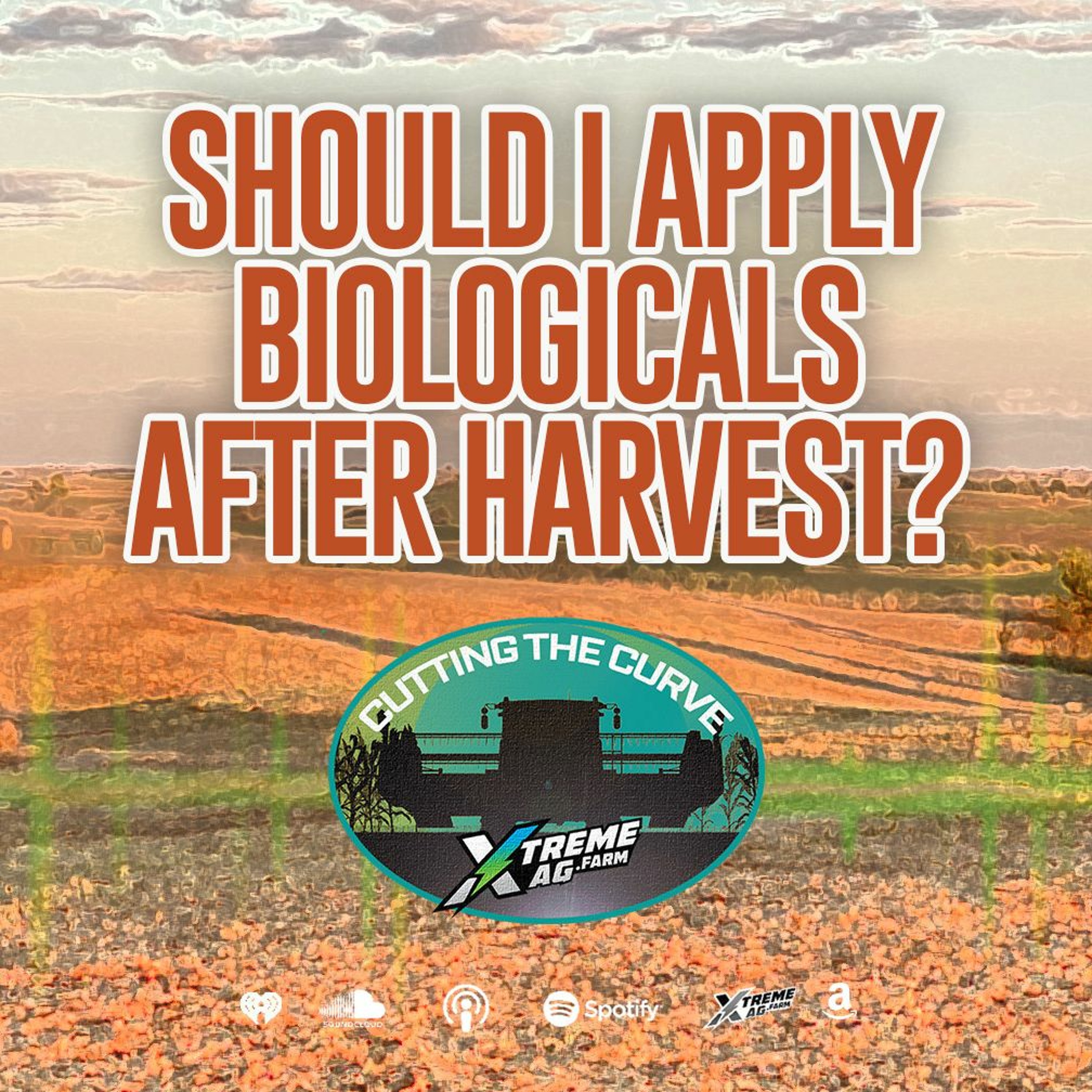 The Benefits of Applying Biologicals Post-Harvest