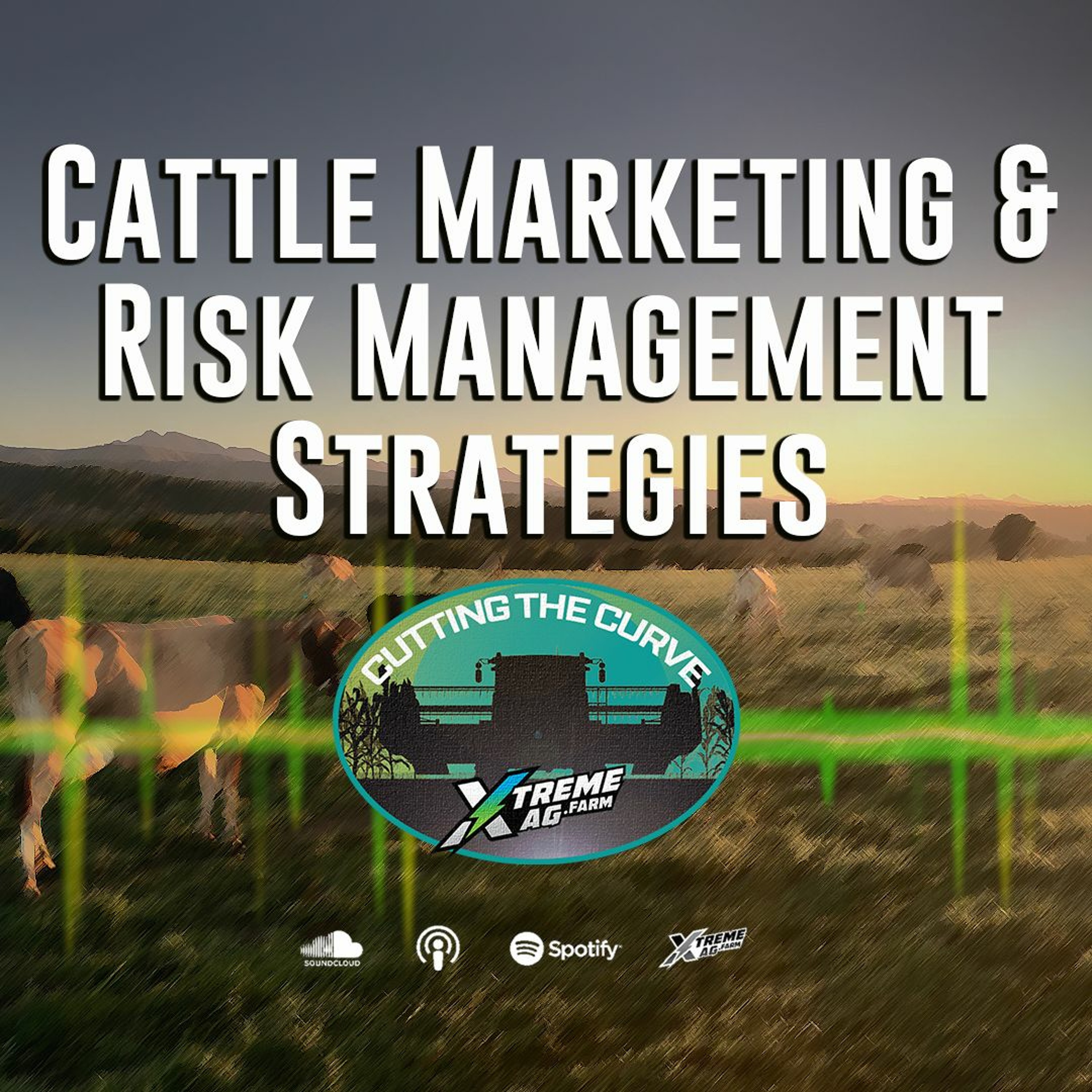 Cattle Marketing and Risk Management Strategies