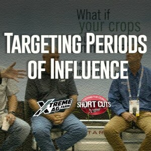 Targeting Periods of Influence