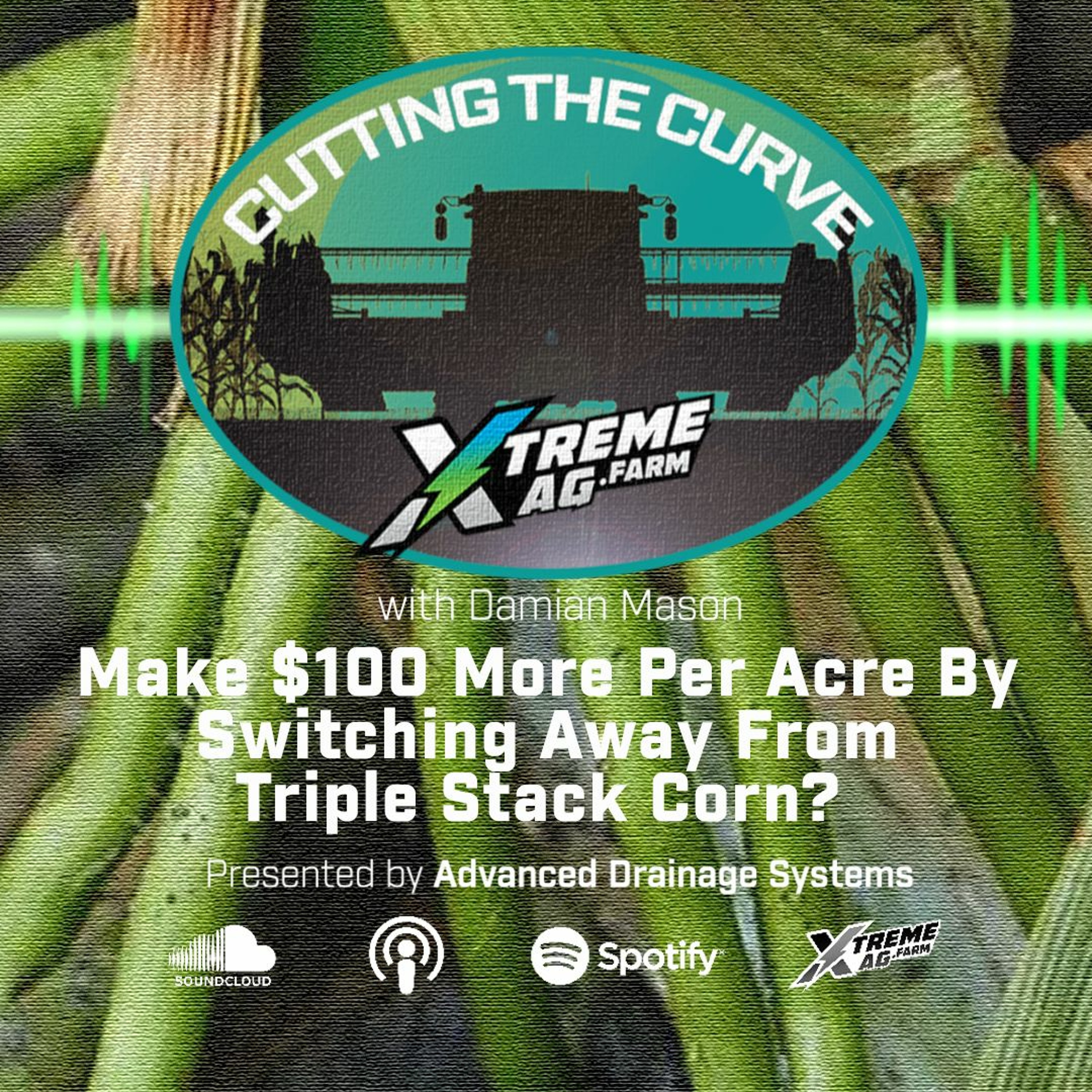 Make $100 More Per Acre By Switching Away From Triple Stack Corn?