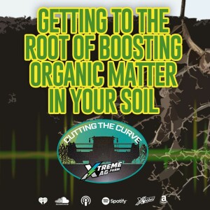The Role of Roots in Increasing Organic Matter In Your Soil