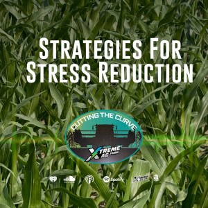 Strategies For Stress Reduction