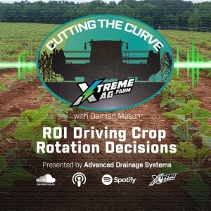 ROI Driving Crop Rotation Decisions