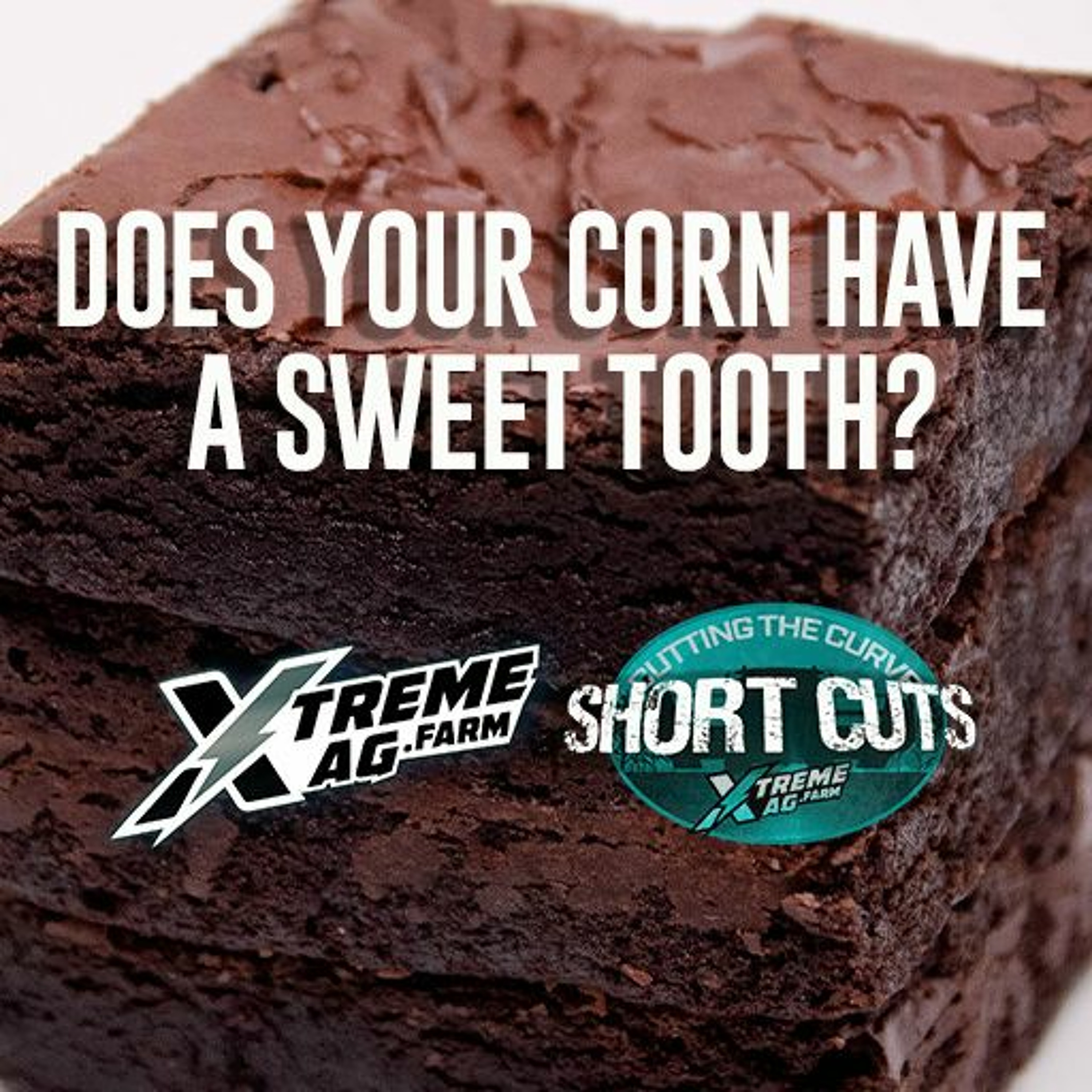 Short Cuts - Your Corn Wants Sugar