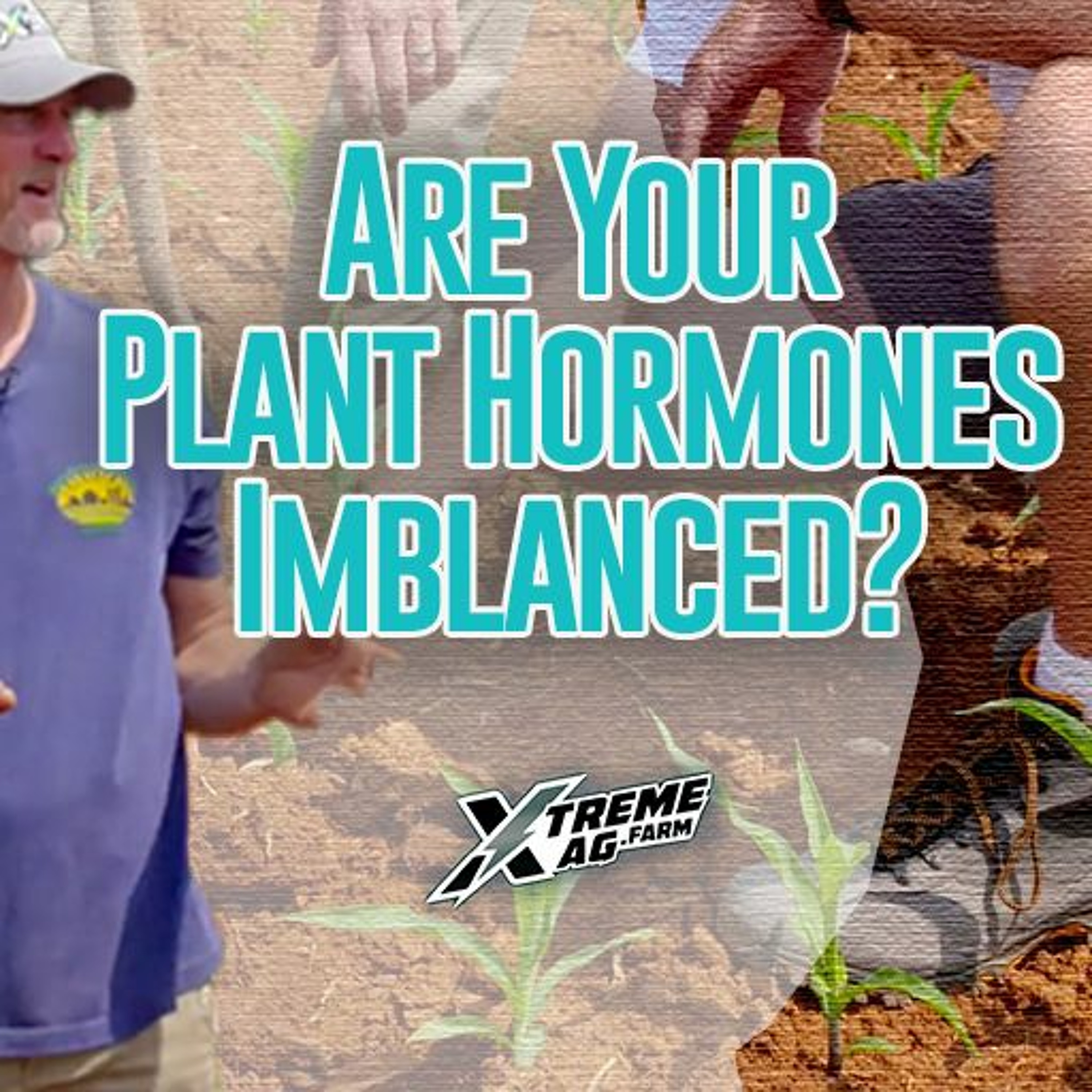 Are Your Plant Hormones Imbalanced?