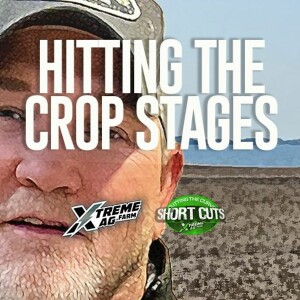 Hitting The Right Crop Stages