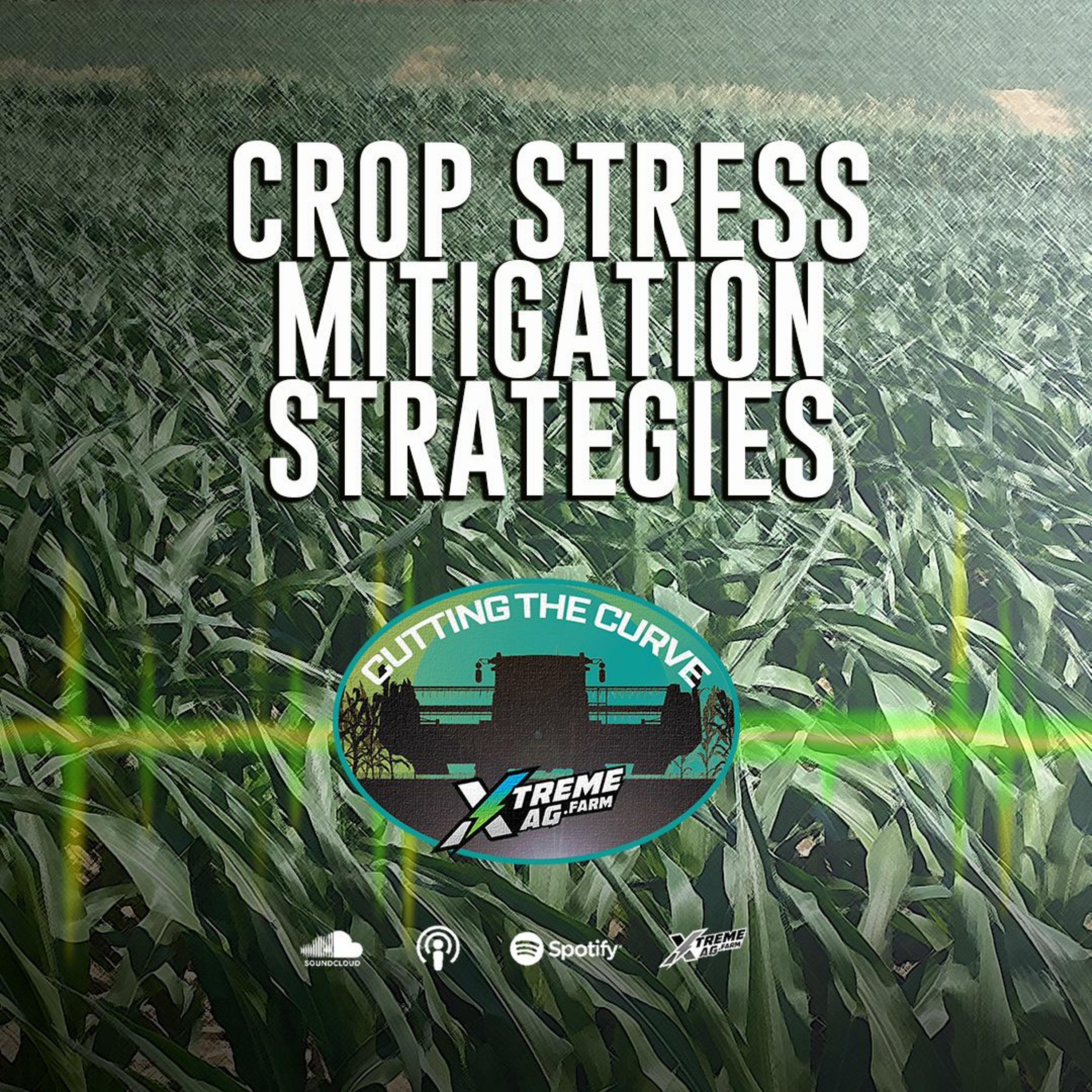 Crop Stress Mitigation Strategies