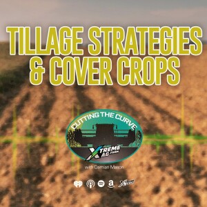 When it is Time for Tillage? A Deep Dive into Farming Tillage Strategies and Cover Crops with Temple Rhodes
