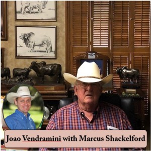 Marcus Shackelford Interview