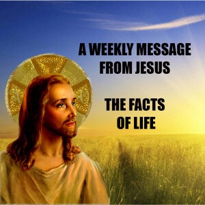 The Facts of Life - A Weekly Message from Jesus