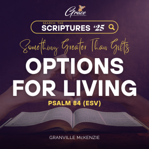 Options For Living - STSS 2025 - Day 3