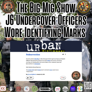 J6 Undercover Officers Wore Identifying Marks |EP012