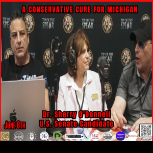 A Conservative Cure for Michigan w/ Dr. Sherry O'Donnell |EP314
