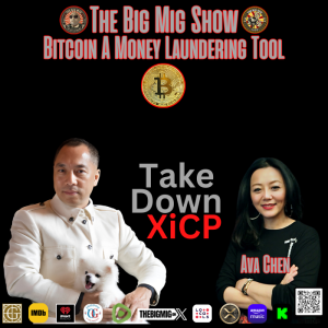 Bitcoin, A Money Laundering Tool |EP400