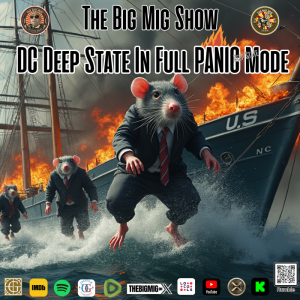 D.C Deep State in Full Panic Mode |EP422