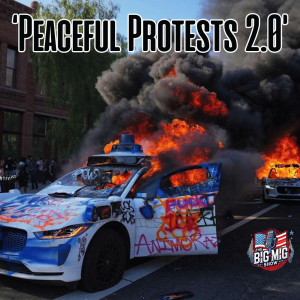 Mostly Peaceful Protests 2.0 |EP575