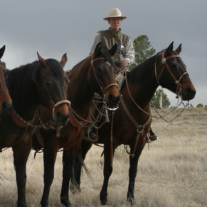 Mindy Bower on The Horseman's Corner