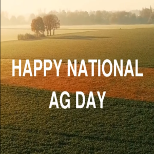 National Ag Day Sorghum Trivia
